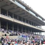 bet on del mar